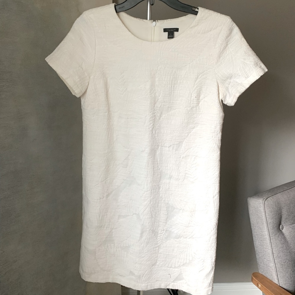 Ann Taylor Dress